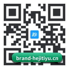 系统版 iOS 二维码